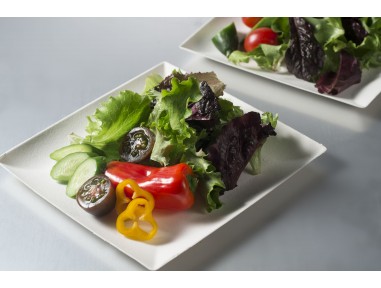 Plato cuadrado bio caña de azucar 18cm | Catering | Effimer
