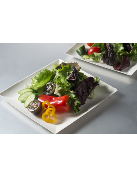 Plato cuadrado bio caña de azucar 18cm | Catering | Effimer